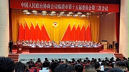 山东鲁磁陈董事长出席临清市中共十五届三次会议，共谋经济繁荣新篇章