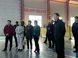 市政协领导与市场监管局莅临我司考察指导，共促高质量发展
