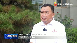 山东鲁磁  磁力吊具
