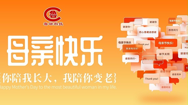 山东鲁磁